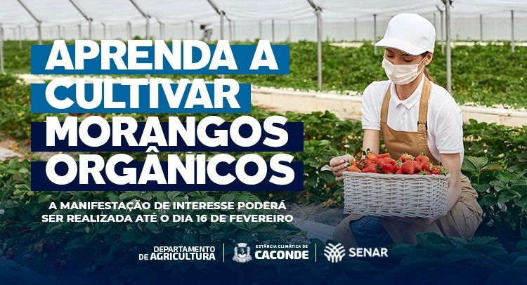 Capa da notícia